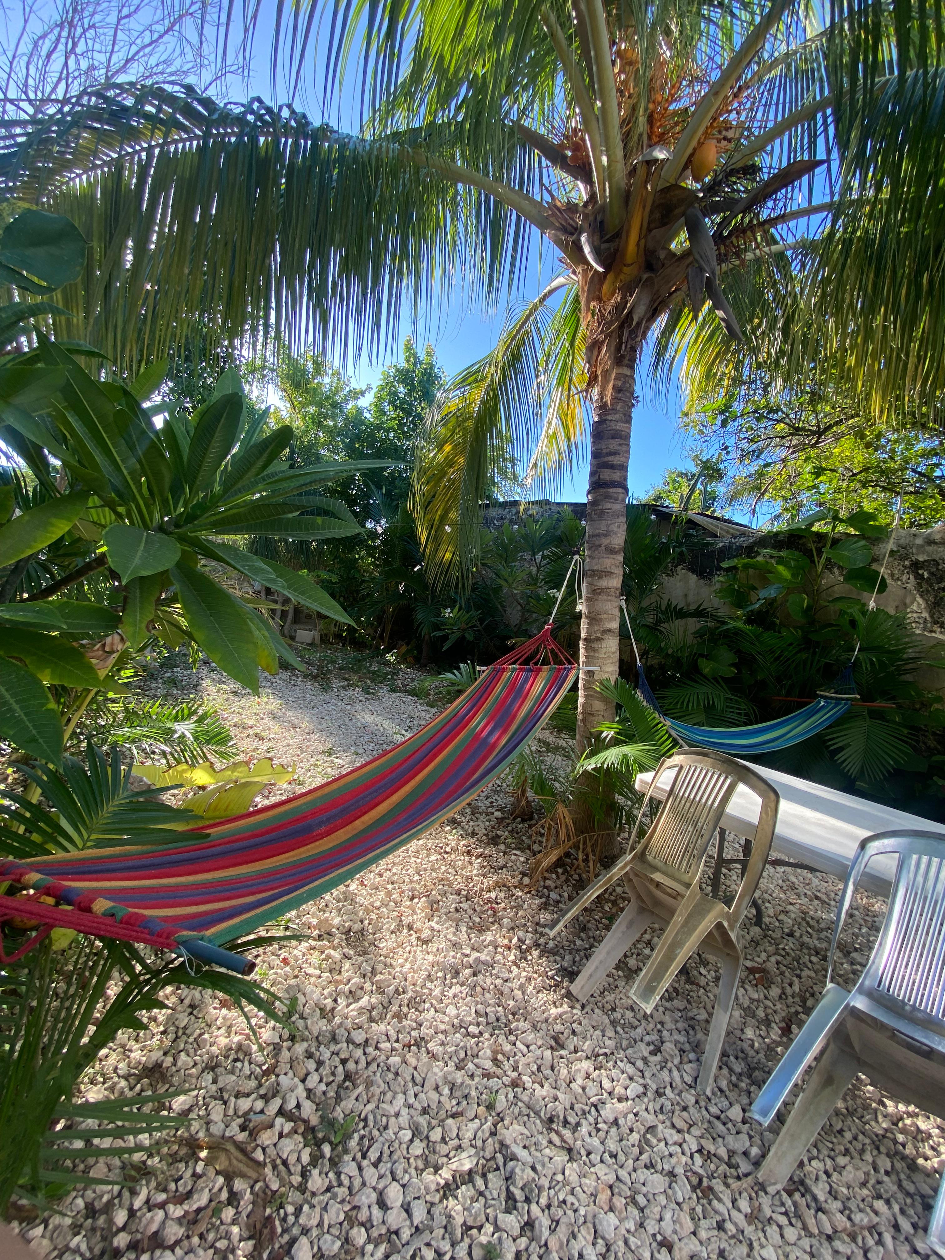 Charming Colonial Hostel in the Heart of Campeche