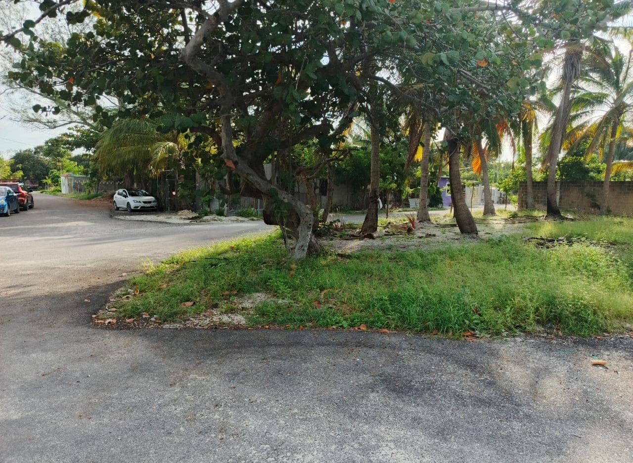 45952 Lot for Sale in Isla Aguada on the Coast of  - SingleFam Lot