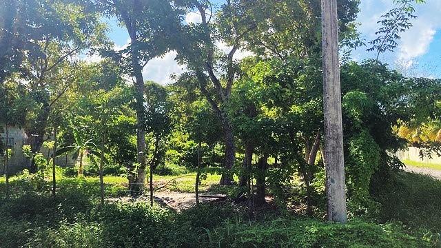 400 square meter lot just one block from the sea