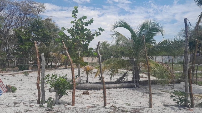 46835 Lot in Isla Aguada, Campeche, One Block from the  - SingleFam Lot