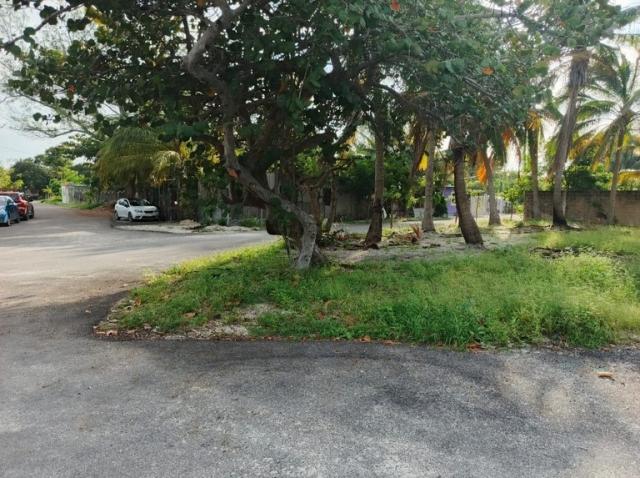 500 m² Lot Two Blocks from the Coast in Isla Aguada