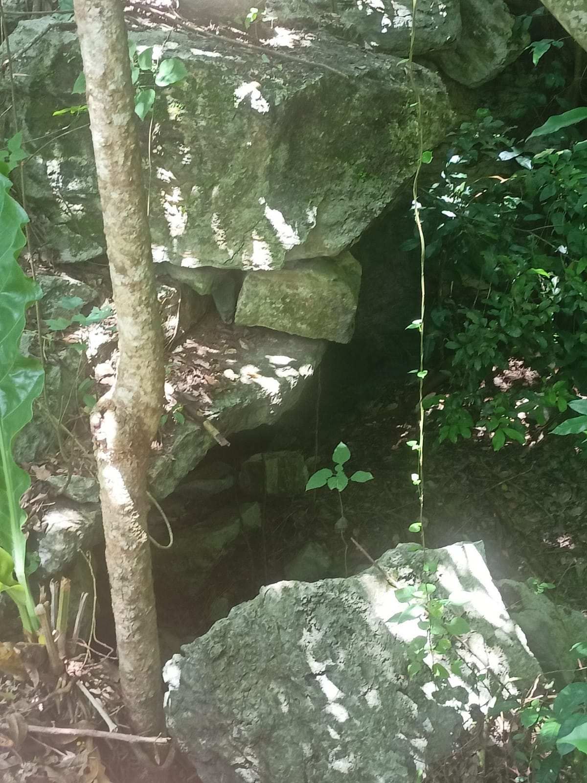 Land in Chemax, Yucatán with a Cenote and Water Mirror