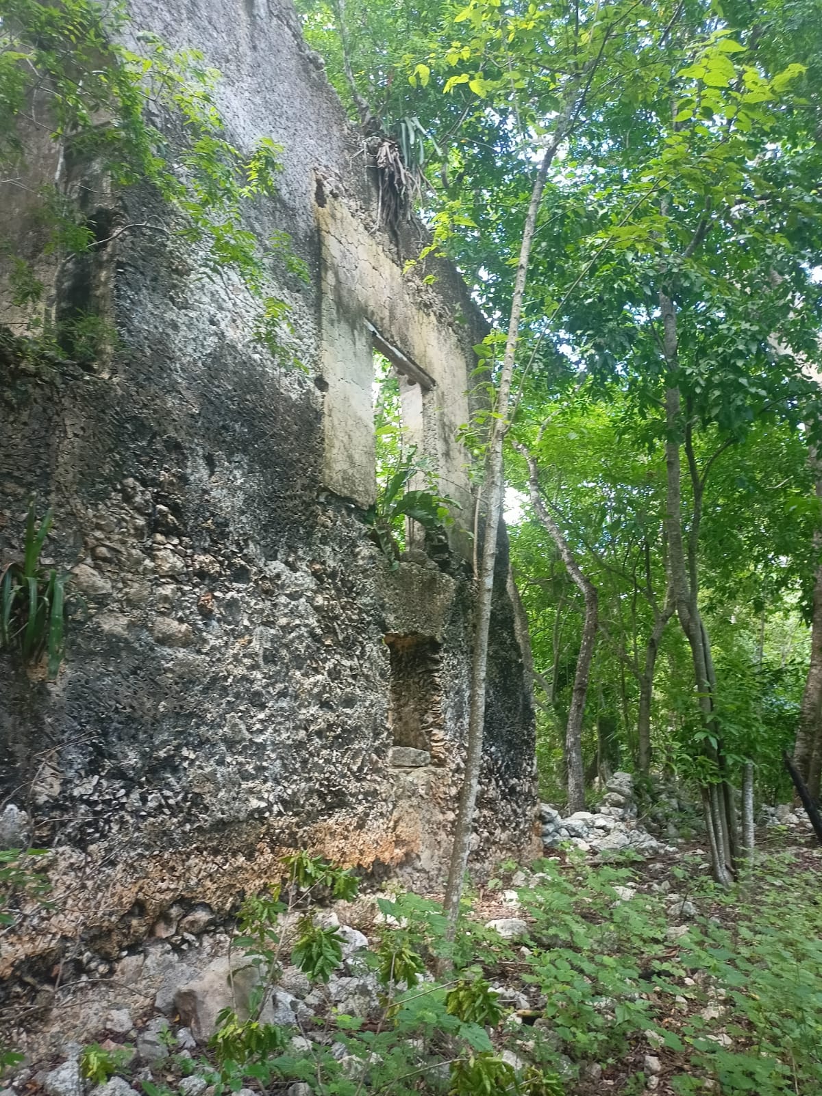 Yucatan