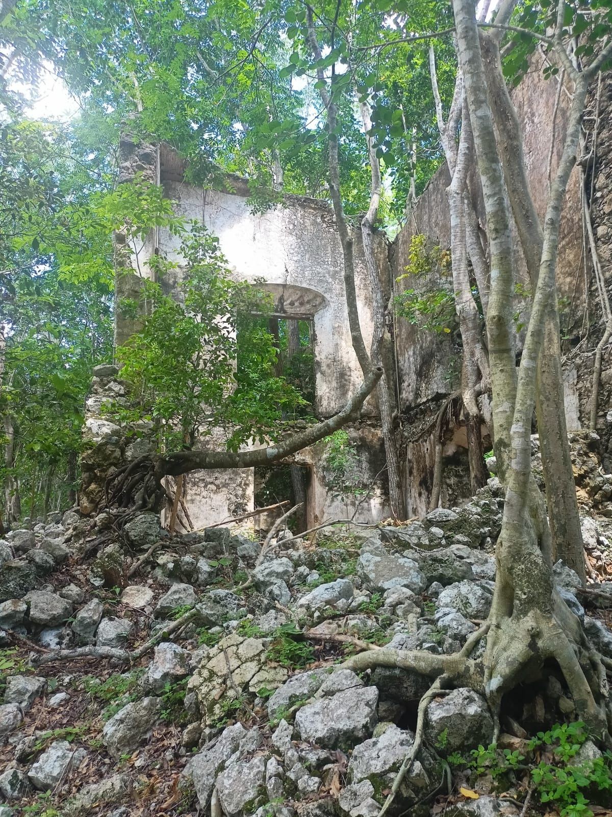 Merida Periferia
