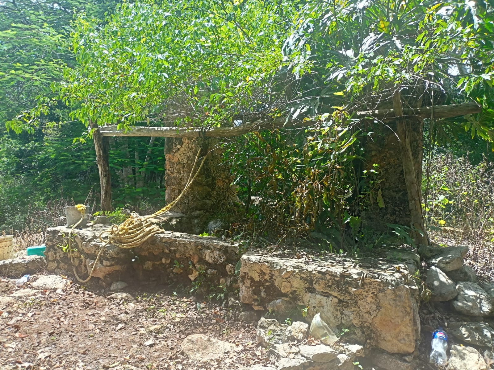 Land in Chemax, Yucatán with a Cenote and Water Mirror
