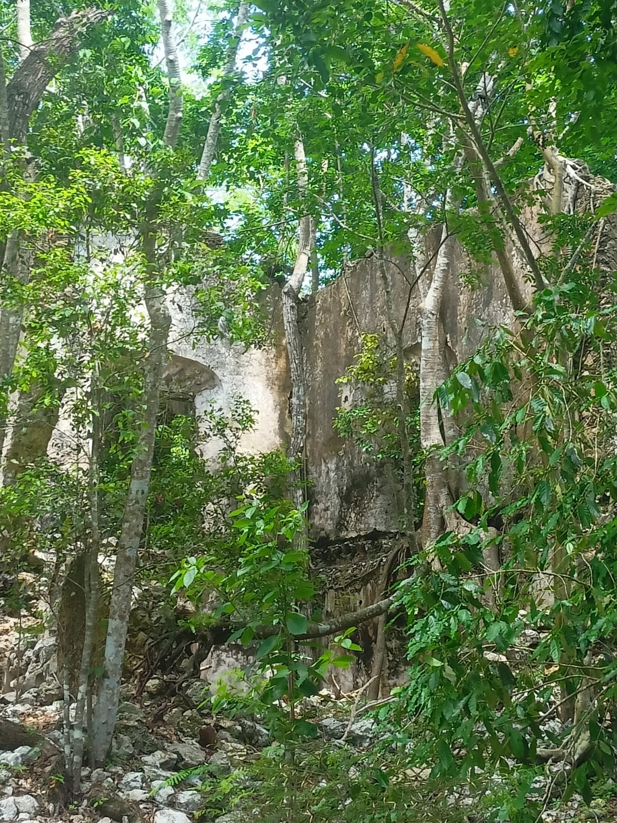 Merida Periferia