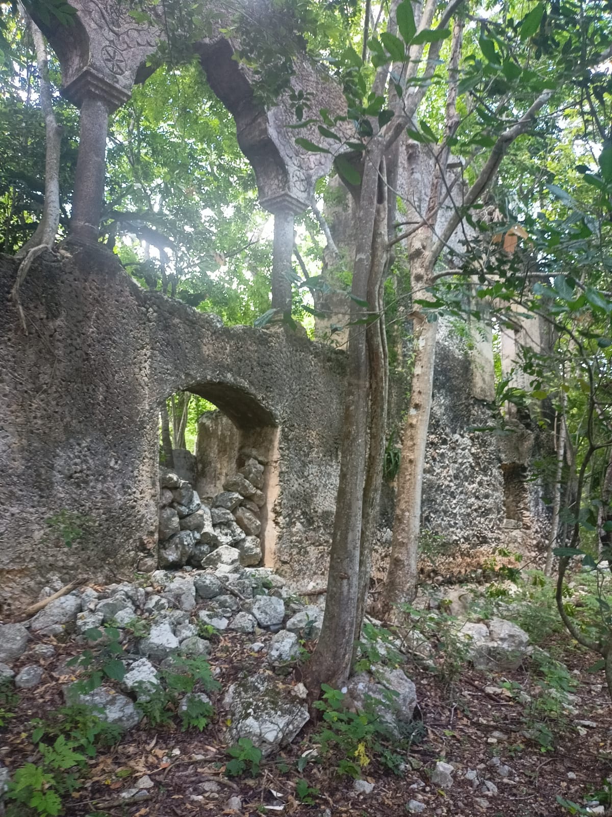 Merida Periferia