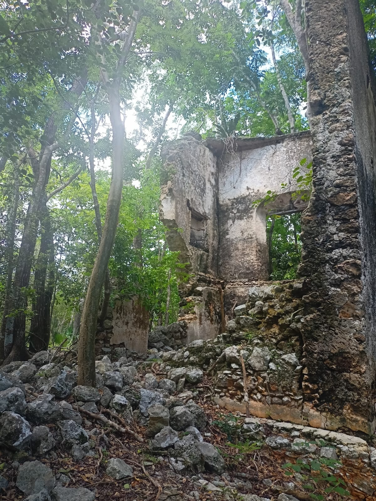 Land in Chemax, Yucatán with a Cenote and Water Mirror