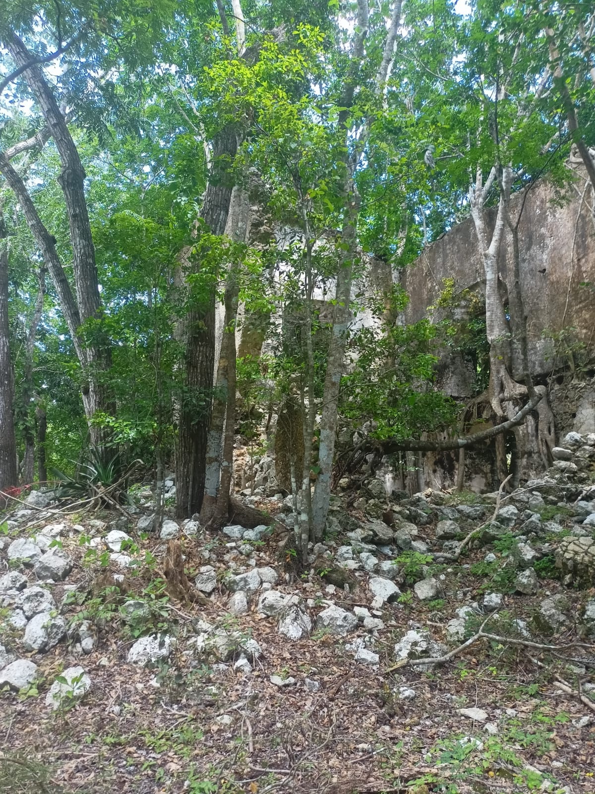 47044 Land in Chemax, Yucatán with a Cenote and Water  - Lot