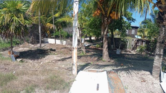 5x38 m Lot on the Tranquil Coast of Yucatán