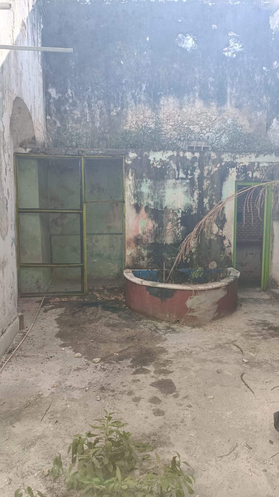 Merida Centro