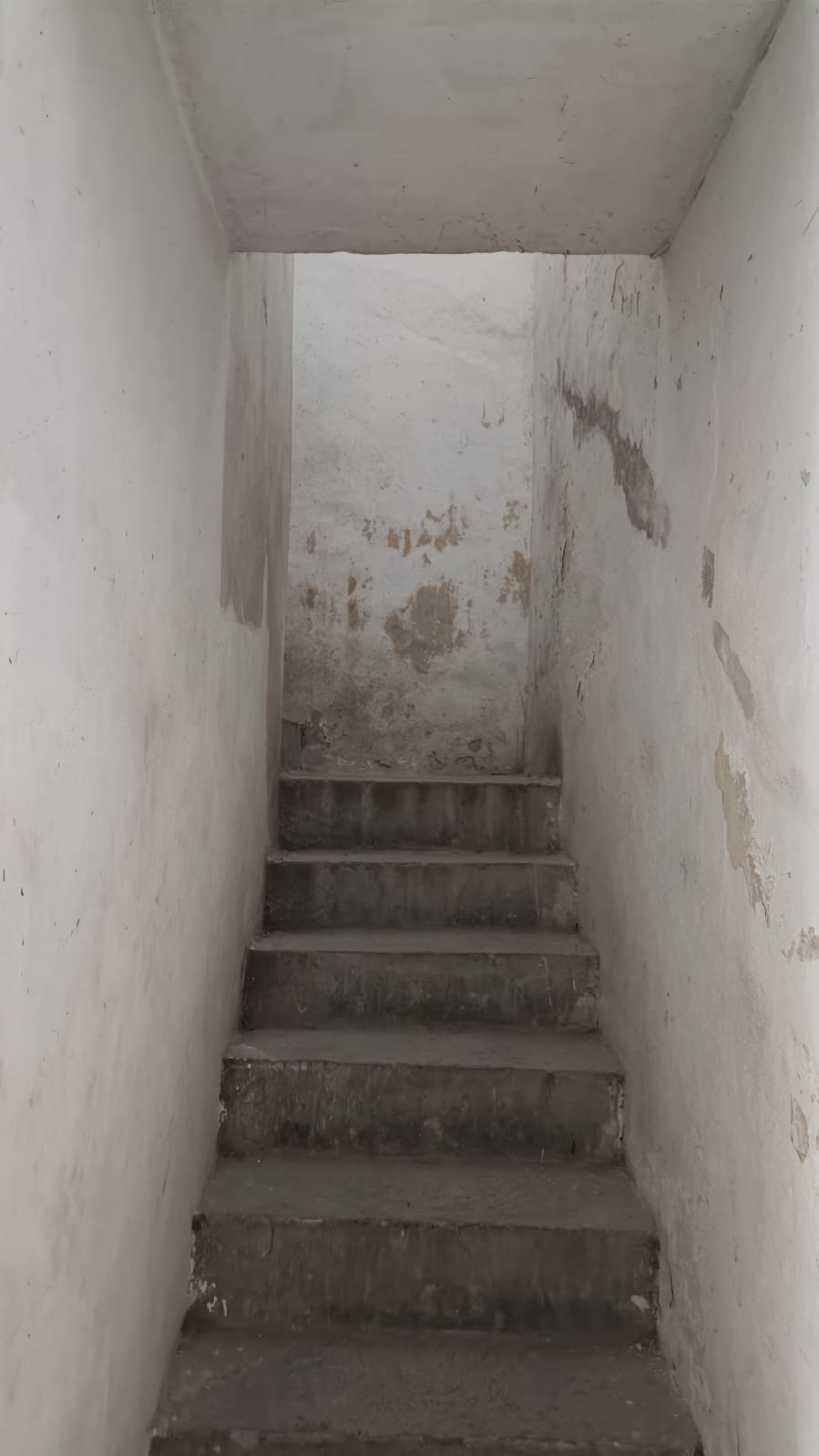 Property to Renovate in Downtown Mérida