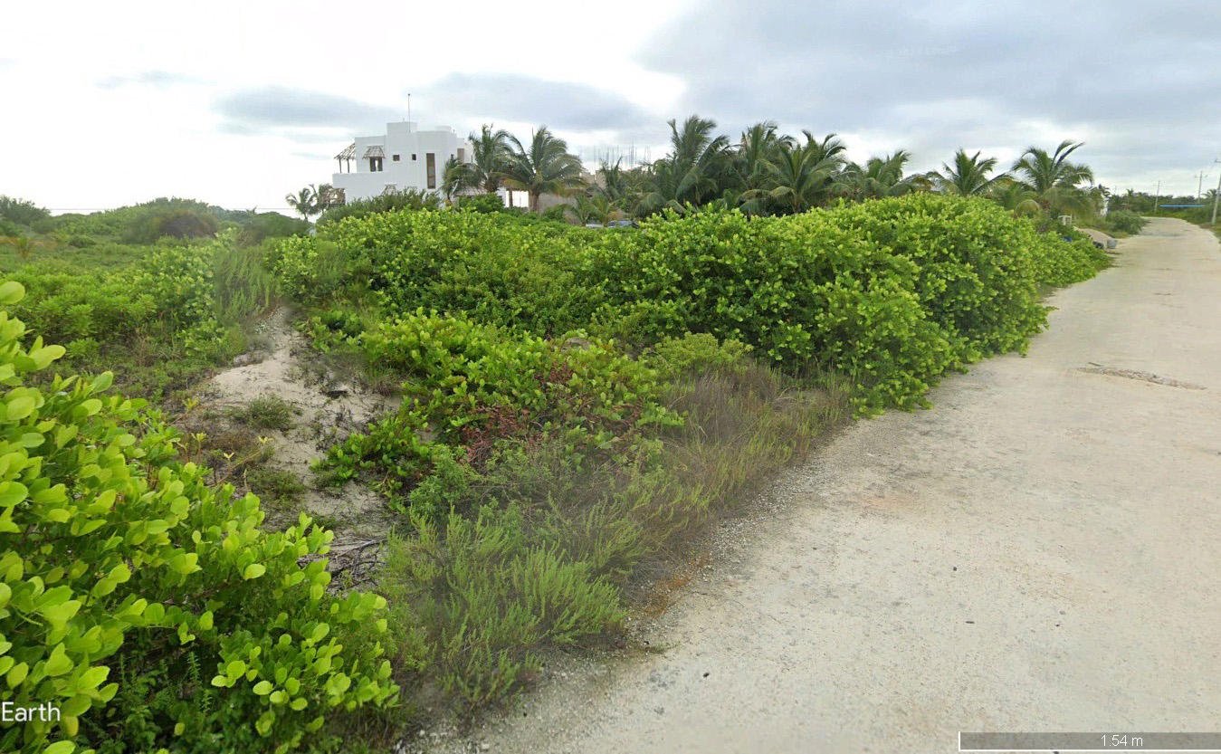 Beachfront Lot Prime Investment Opportunity Near Mahahual