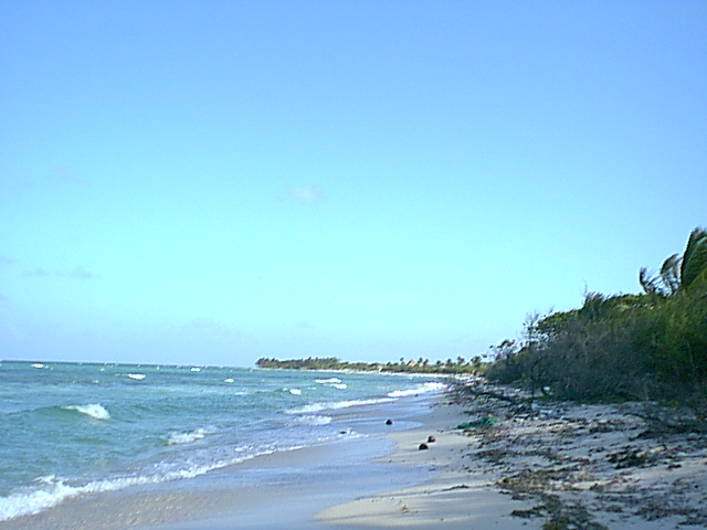 Costa Maya