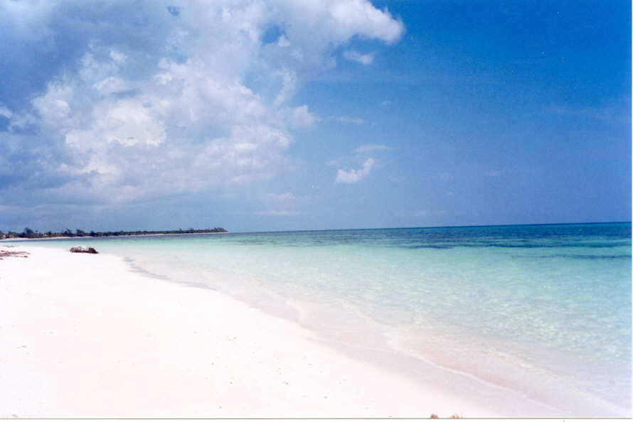 47866 Beachfront Lot Prime Investment Opportunity Near  - SingleFam Lot