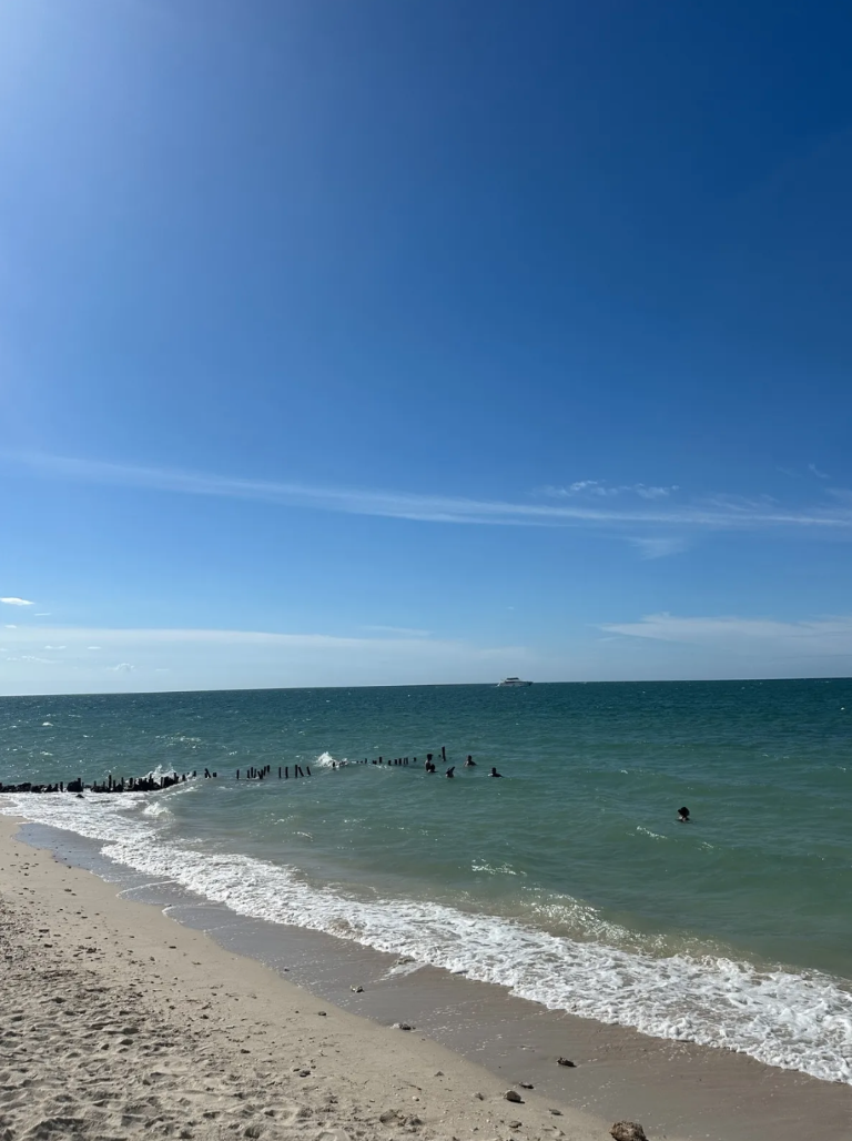 420 m² lot for sale in Chelem, just steps from the sea