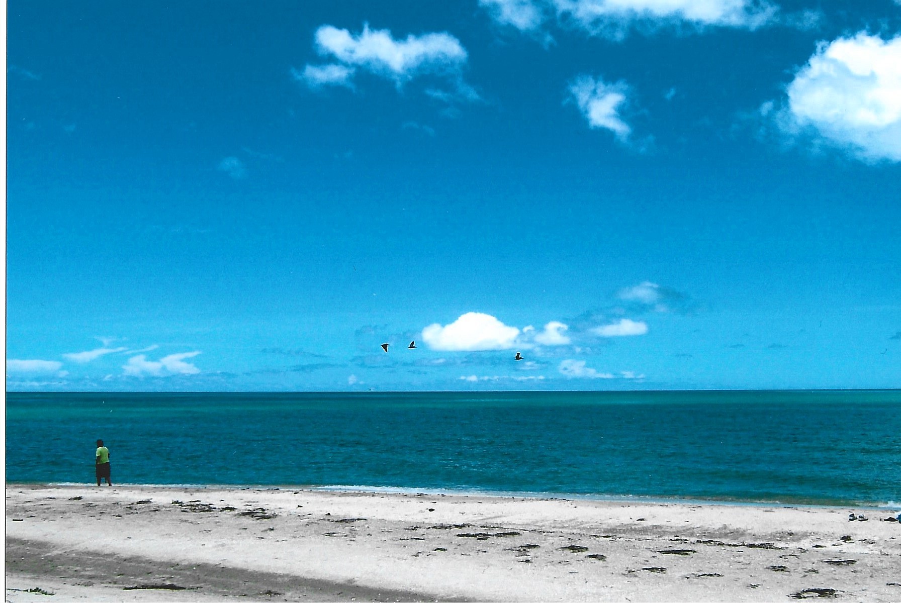 Beachfront Lot in Campeche with Direct Highway Access