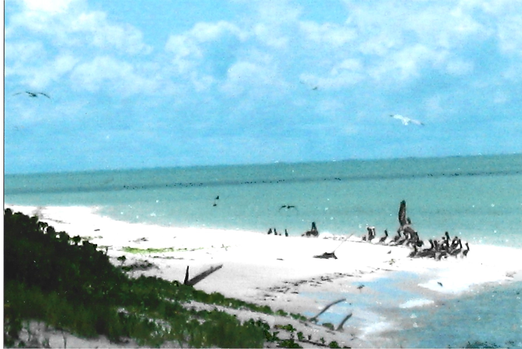 Campeche