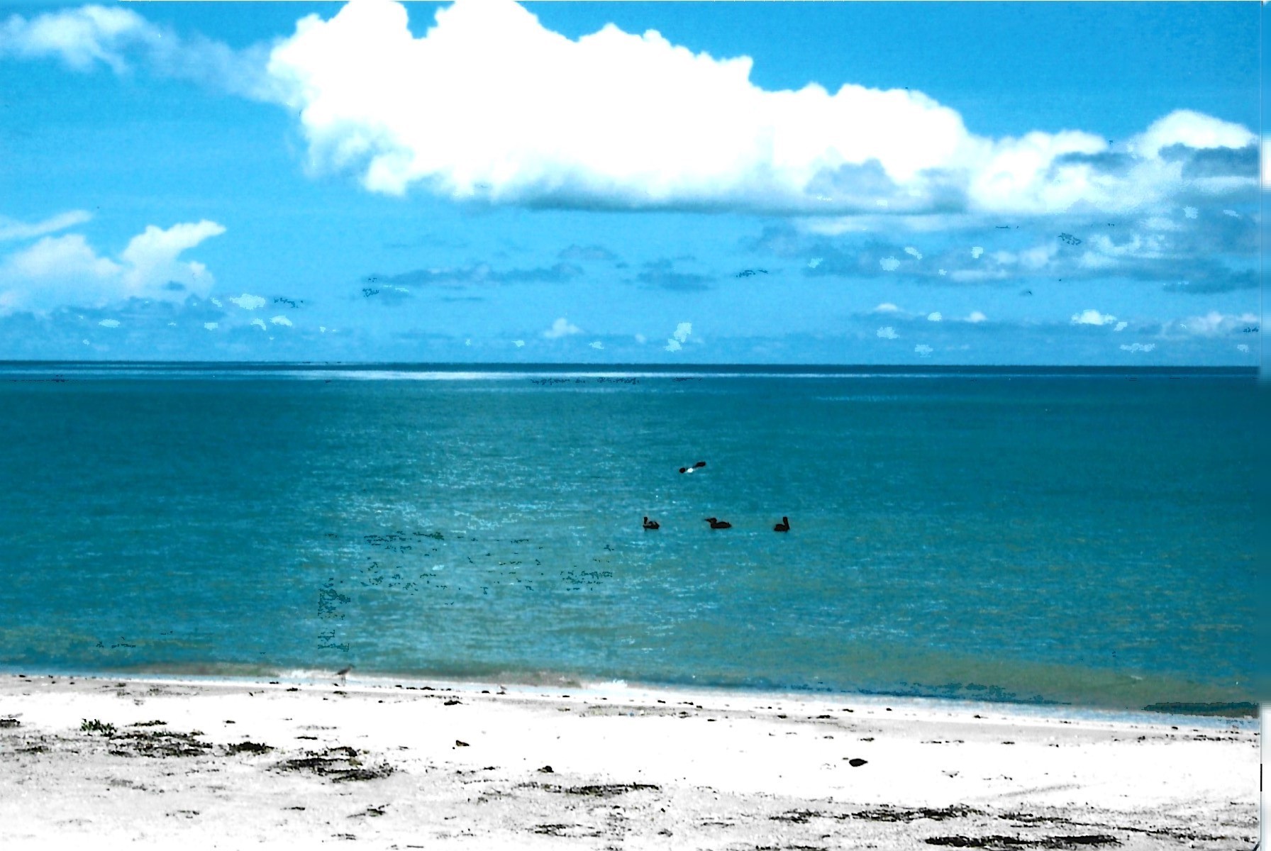 Isla Aguada