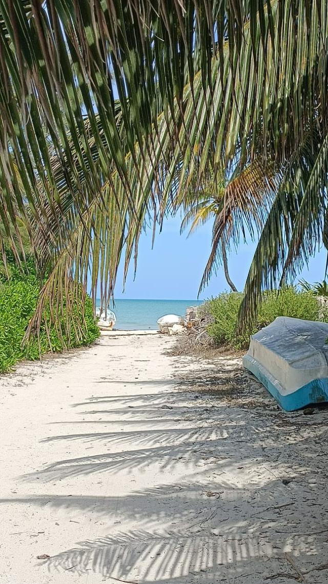 3 Bed Condo in Chicxulub puerto