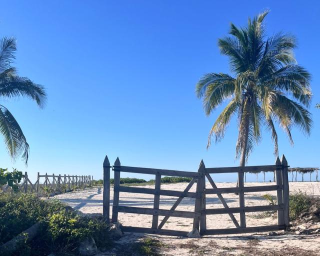 Beachfront lot in Campeche with direct road access