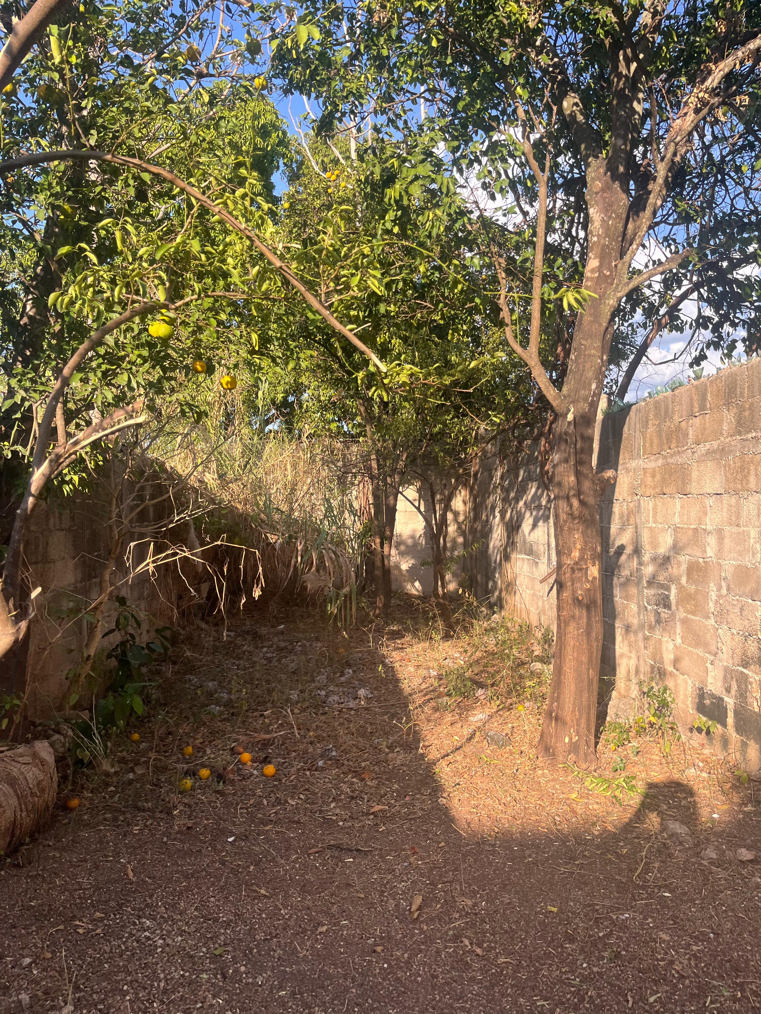 Charming Colonial Home in Campeche’s Historic Center
