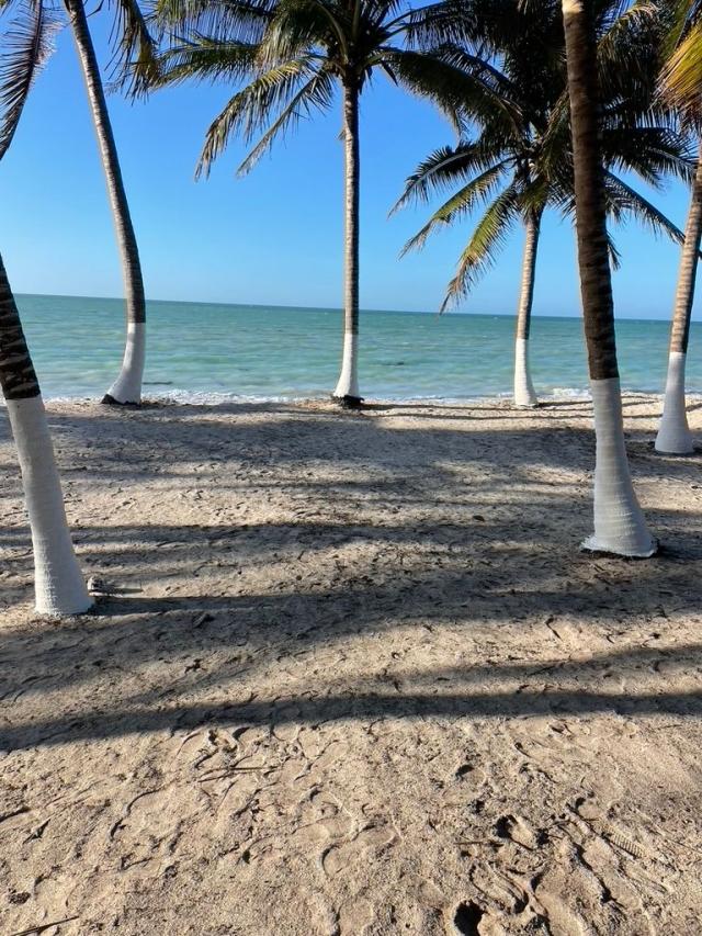 Two beachfront lots in Champotón, Campeche