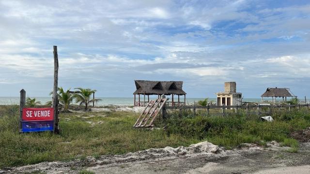 Seafront Lot in Isla Aguada, Campeche with 1,200 m²