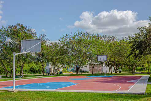 Home