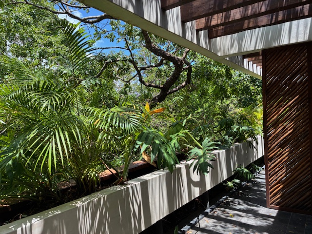 Tulum