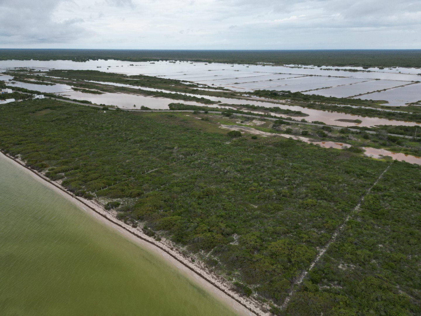 51552 Seafront Macrolot in San Benito,  - Lot