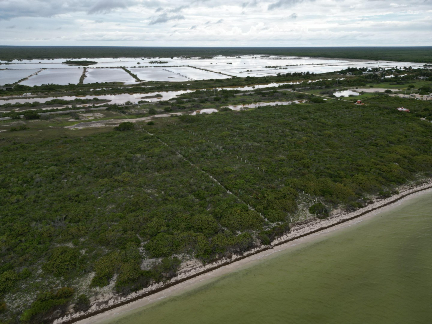 Seafront Macrolot in San Benito, Yucatán