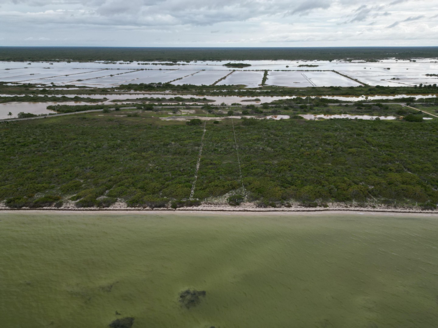 Seafront Macrolot in San Benito, Yucatán