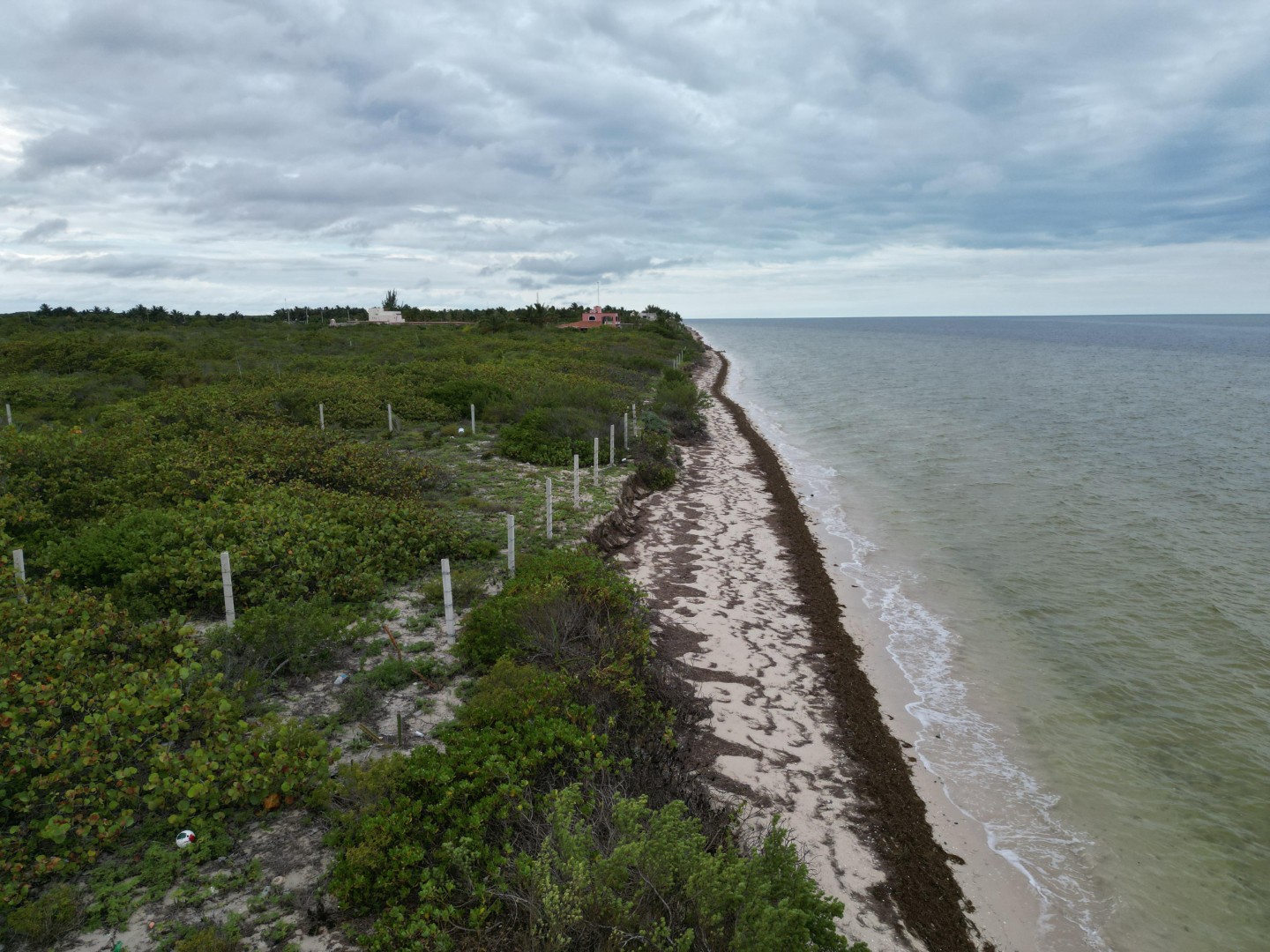 Seafront Macrolot in San Benito, Yucatán