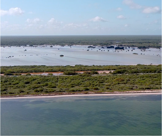 51553 Beachfront land in Santa Clara, Yucatán with 10,815  - Lot