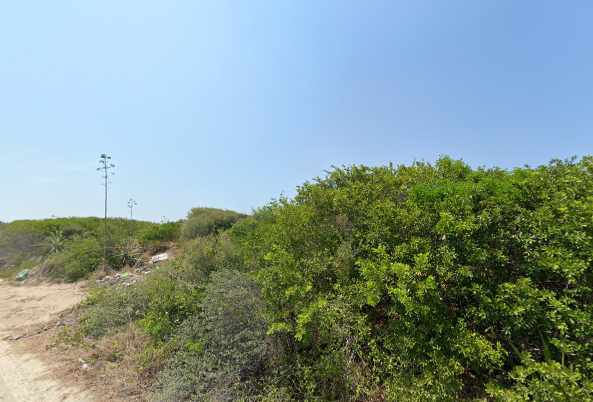 51586 Beachfront Macrolot for Sale in Sisal, Yucatán with 11,200  - Lot