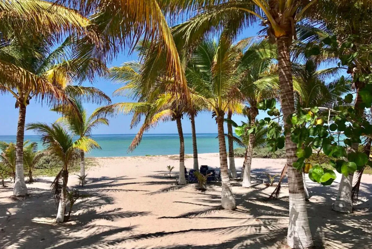 51587 Beachfront Macrolot for Sale in Celestún,  - Lot