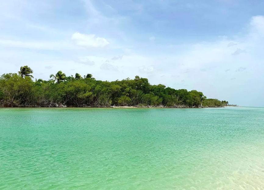 Beachfront Macrolot for Sale in Celestún, Yucatán