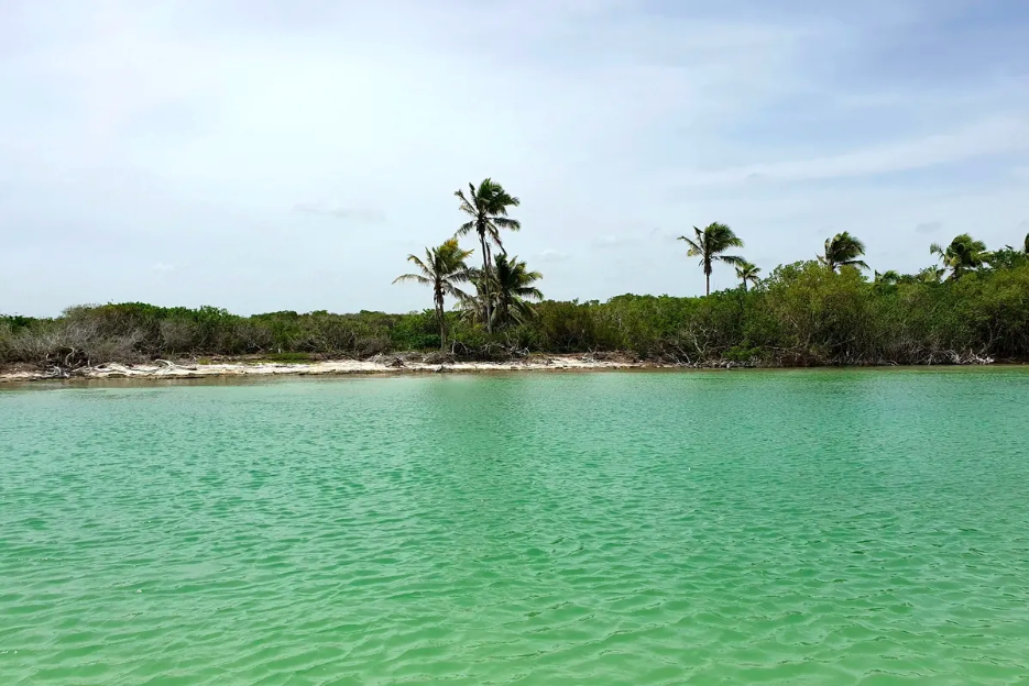 Yucatan Coast