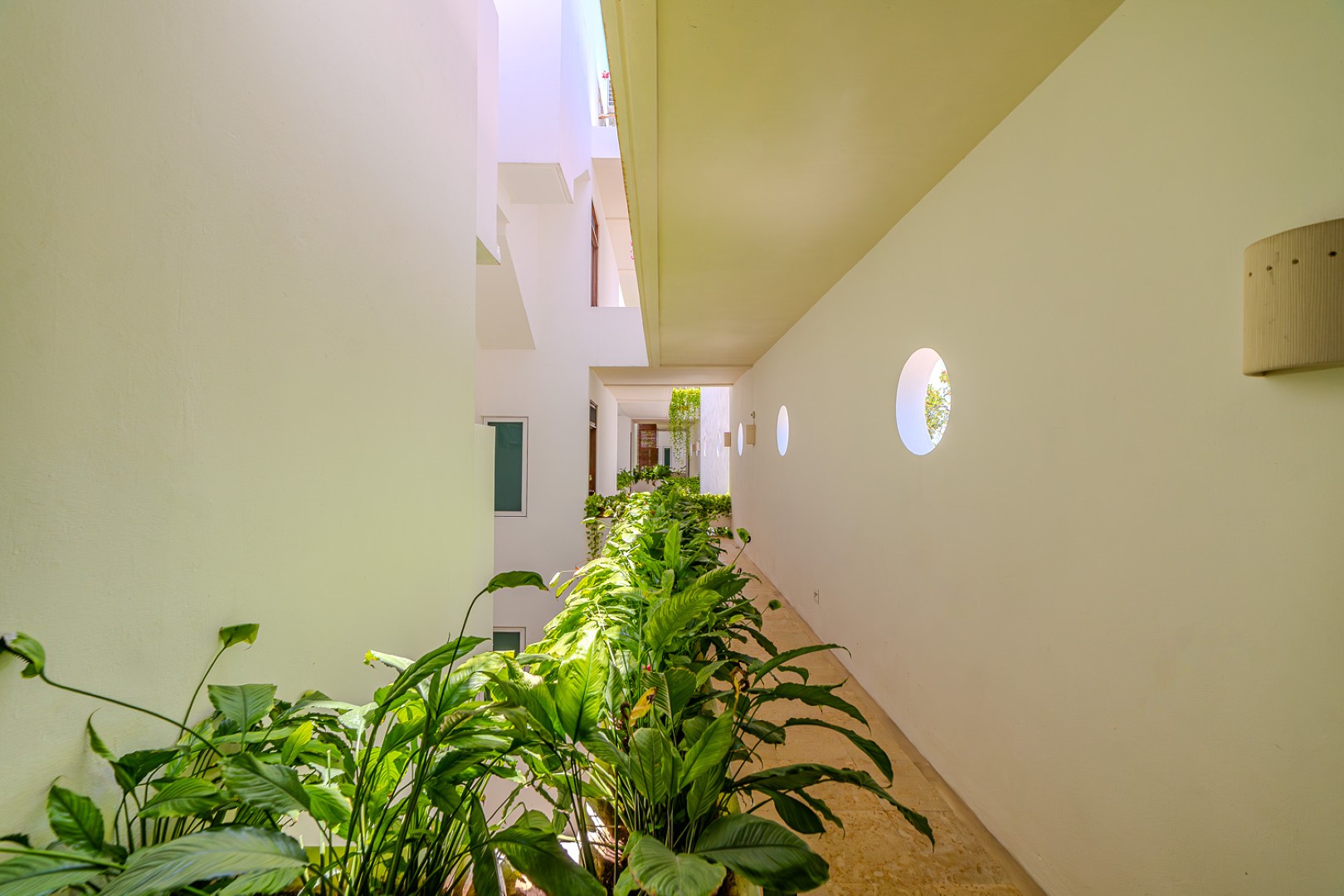 Condo