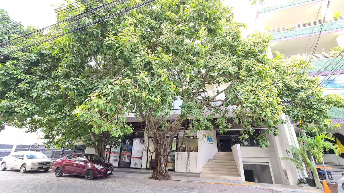 Top-Floor 1BR Condo with Sunset & Ocean Views Fully Equipped 