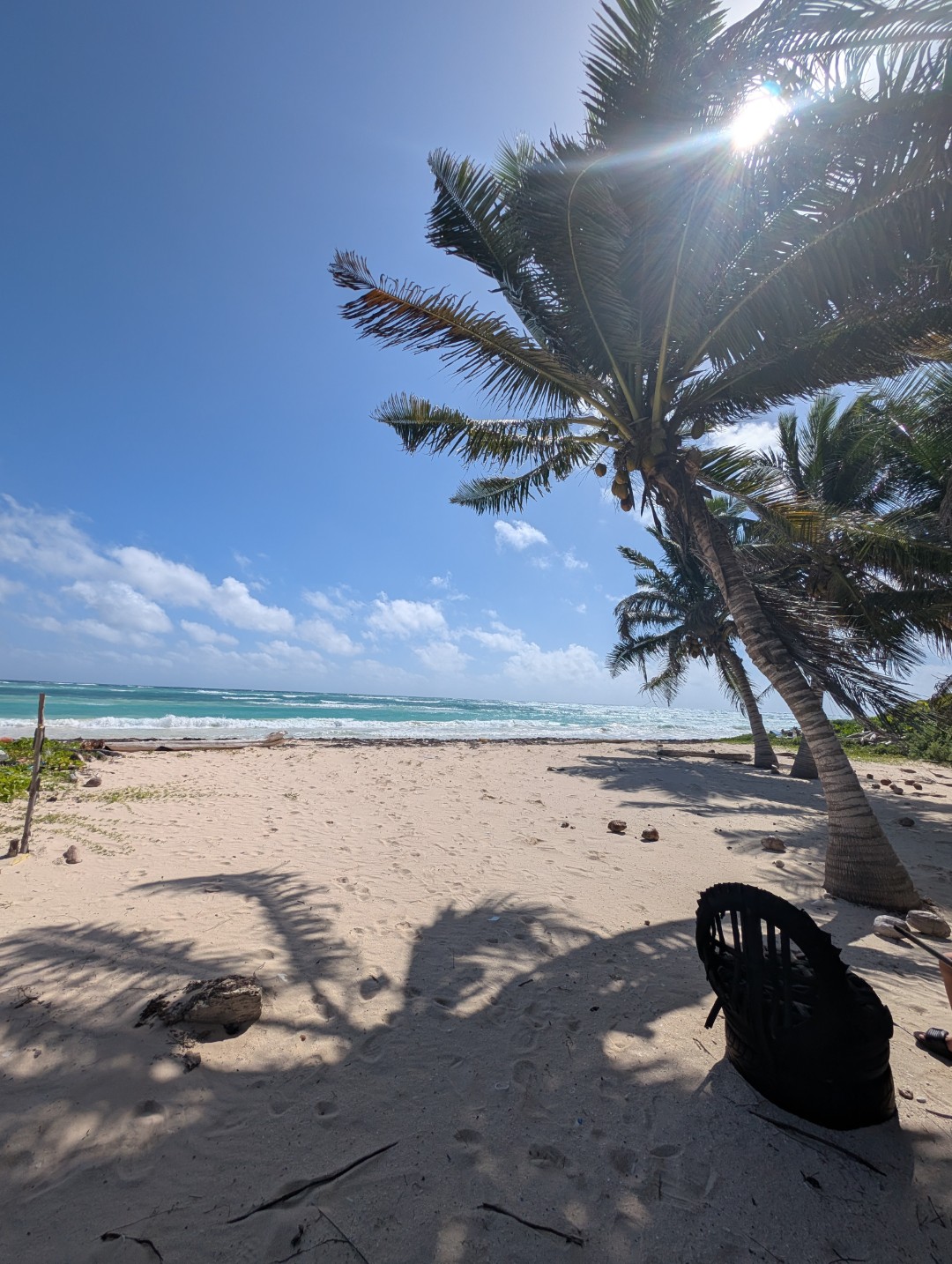 Costa Maya