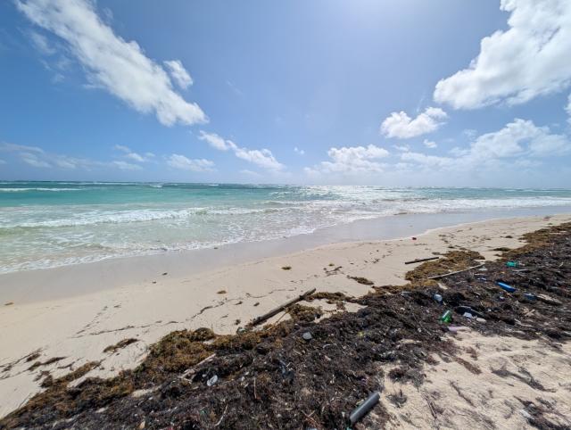 Beachfront Lot for Sale – El Placer, Near Mahahual