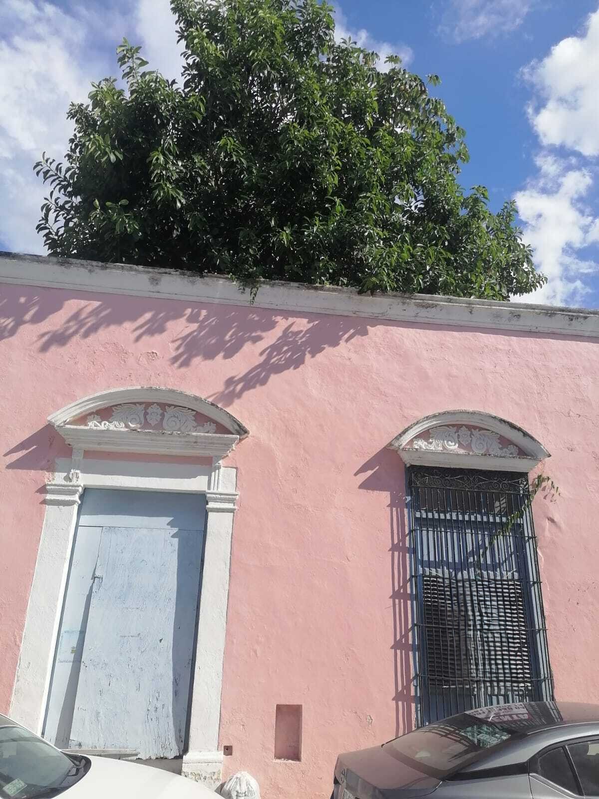 Colonia Centro