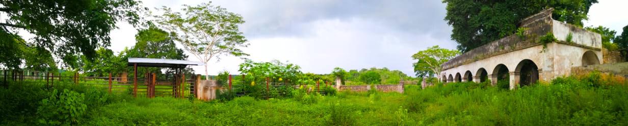 Hacienda with 304 hectares on the Campeche–Mérida highway