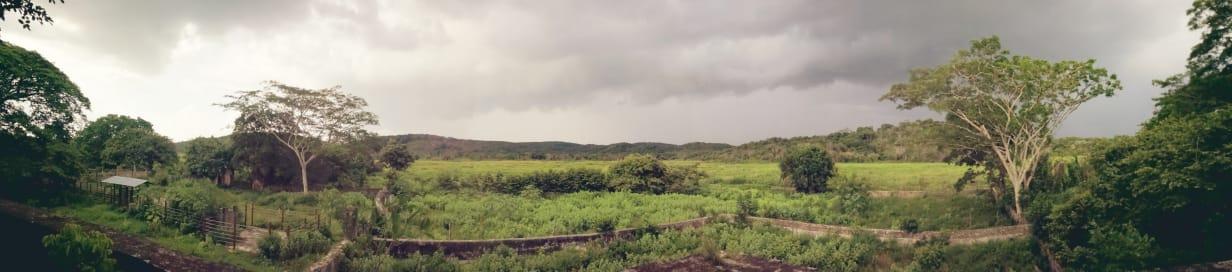 Hacienda with 304 hectares on the Campeche–Mérida highway