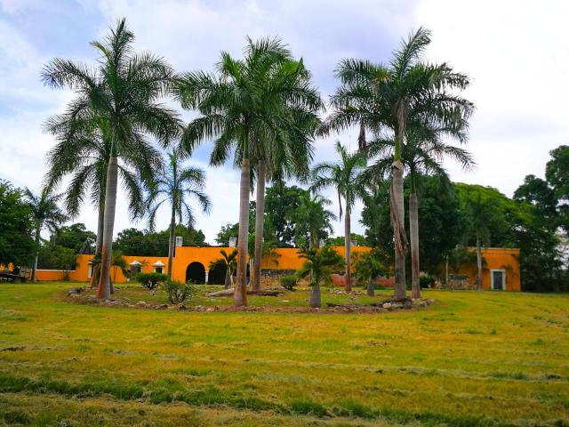 Hacienda with 304 hectares on the Campeche–Mérida highway