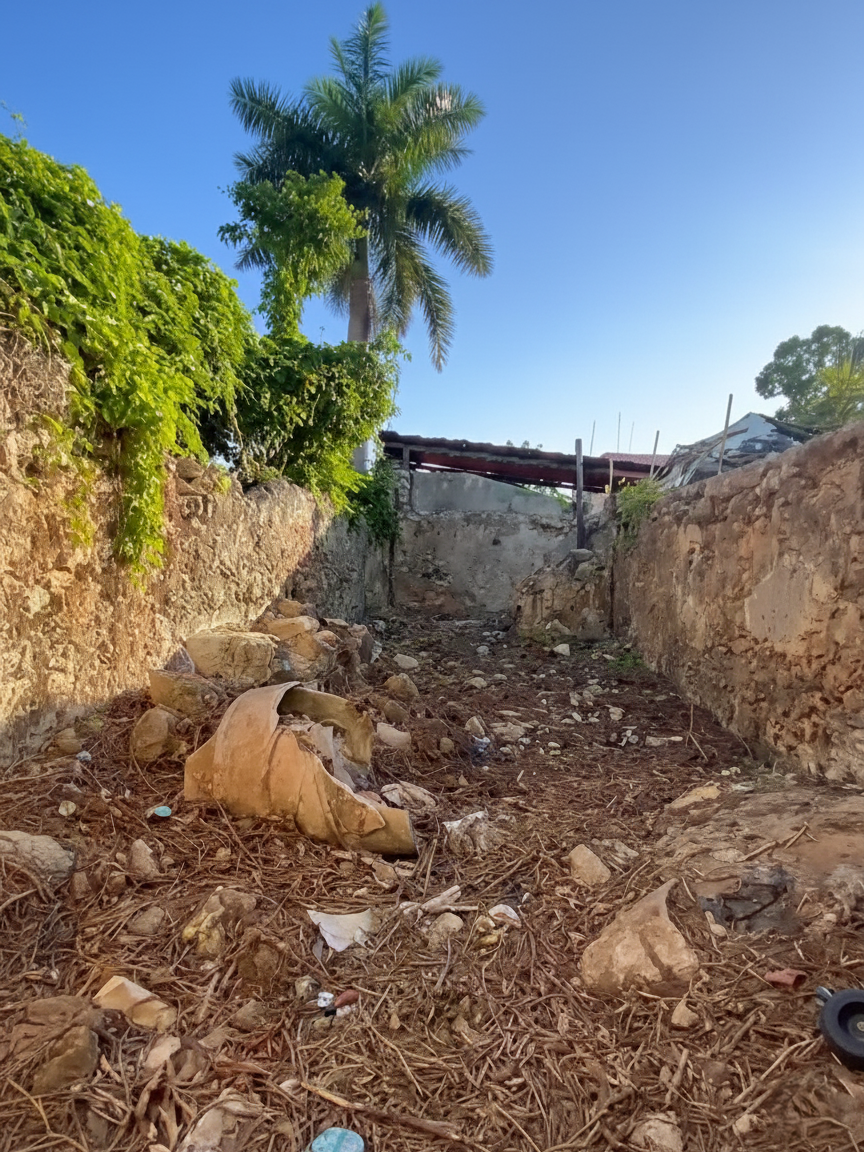 Colonial house to restore in the heart of the Historic Center