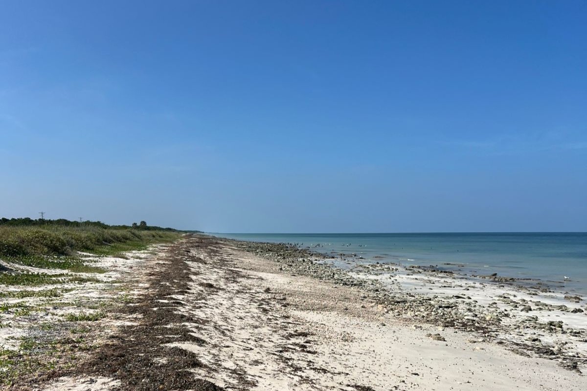 Beachfront lot on the Coastal Gulf Highway, Campeche
