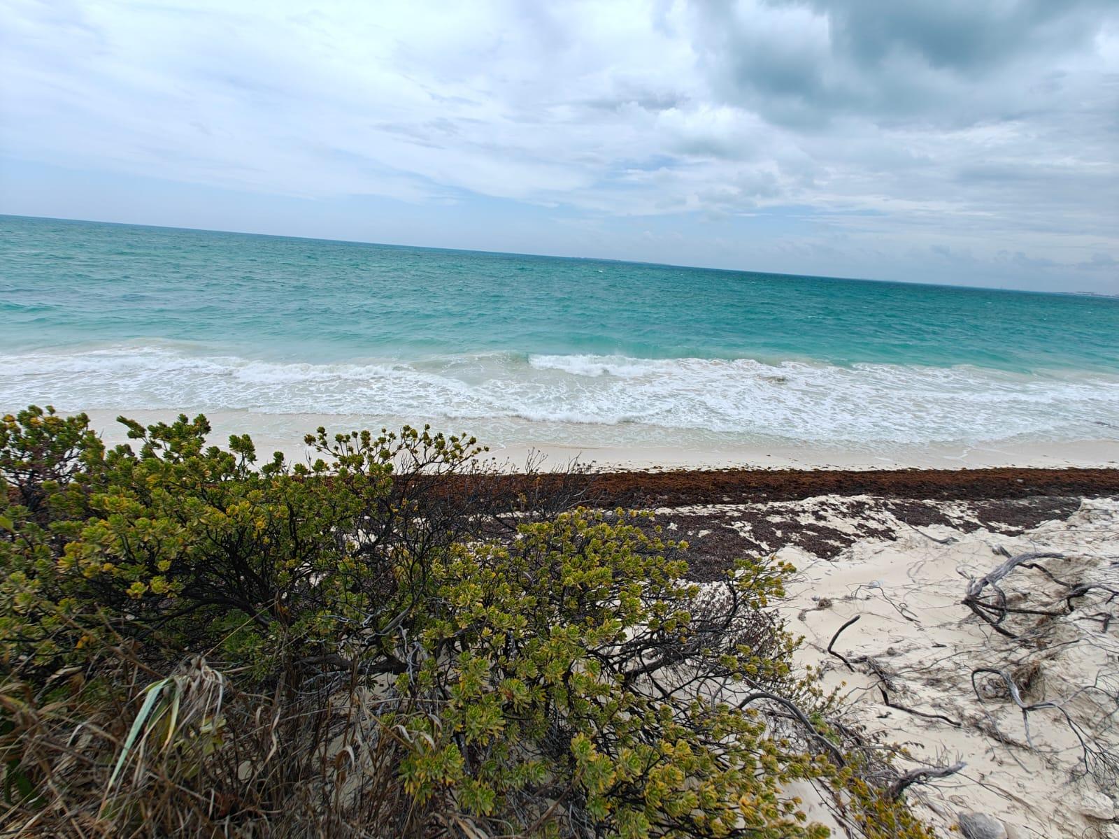 55262 1200 square meter beachfront lot in Isla Blanca,  - SingleFam Lot